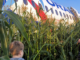 Самолет Москва-Симферополь совершил аварийную посадку в кукурузном поле
